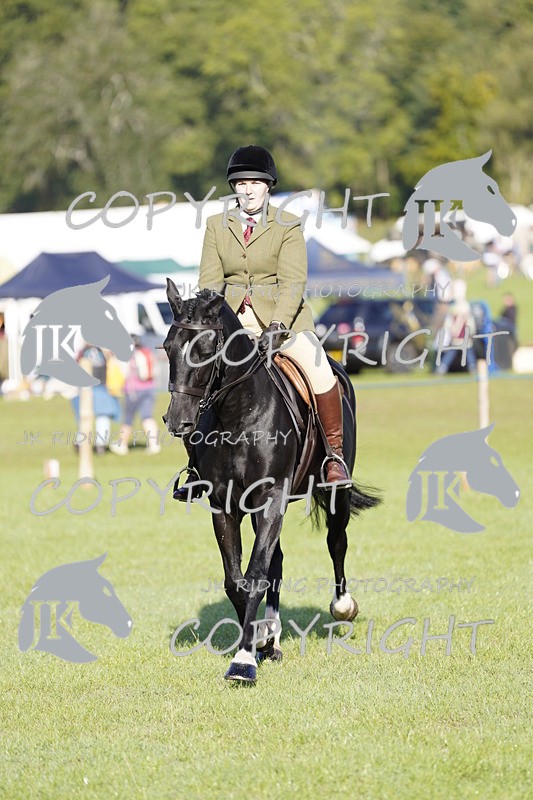_DSC9454 - Class 8 & 17 Ridden Hunter & Ridden Hunter Pony