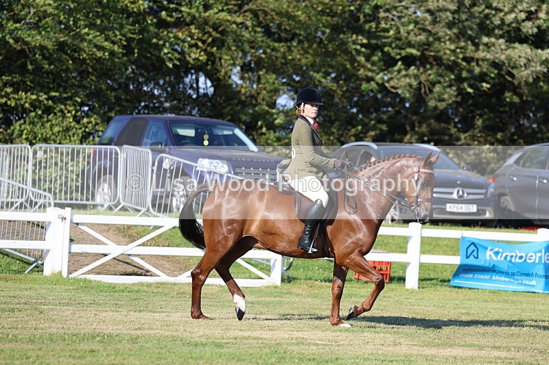 3E7A4932 - Class 1: Rising Star Small Hack/Riding Horses