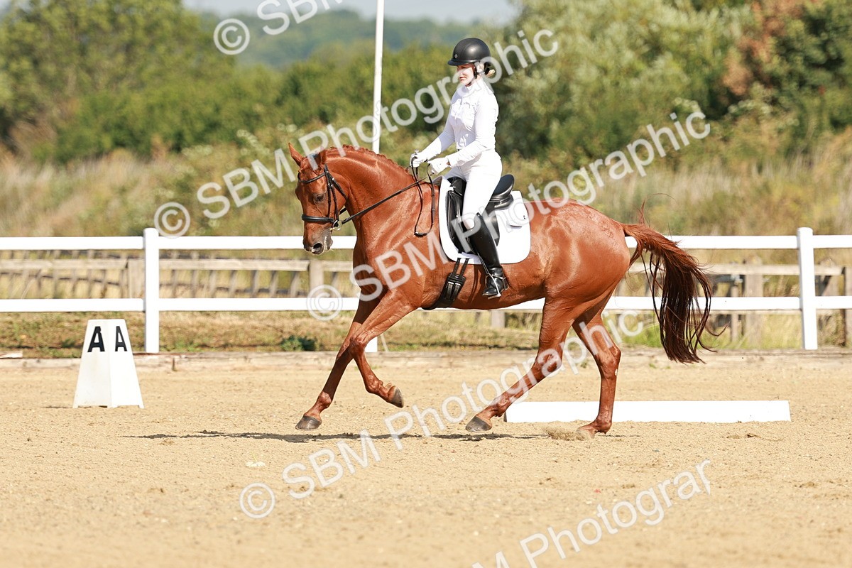 SBM_021075 - Class 12 - P6