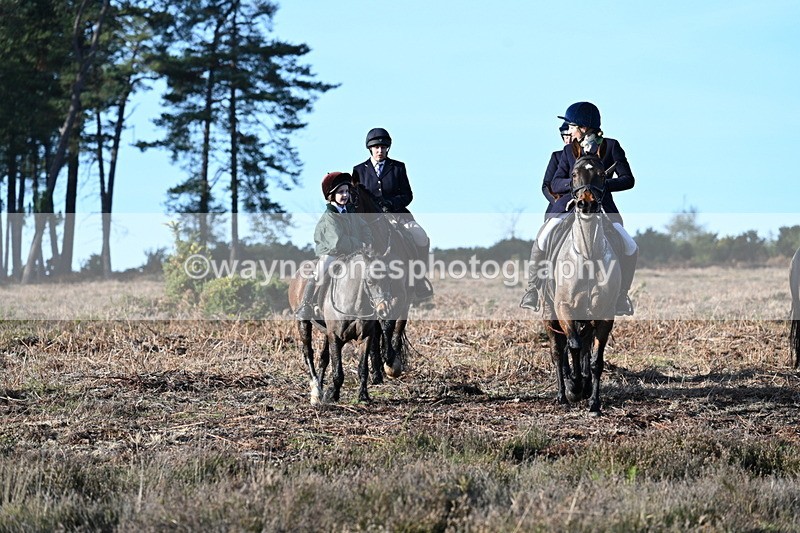 WJ7_7349 - Line 3 (no line 4 or 5)