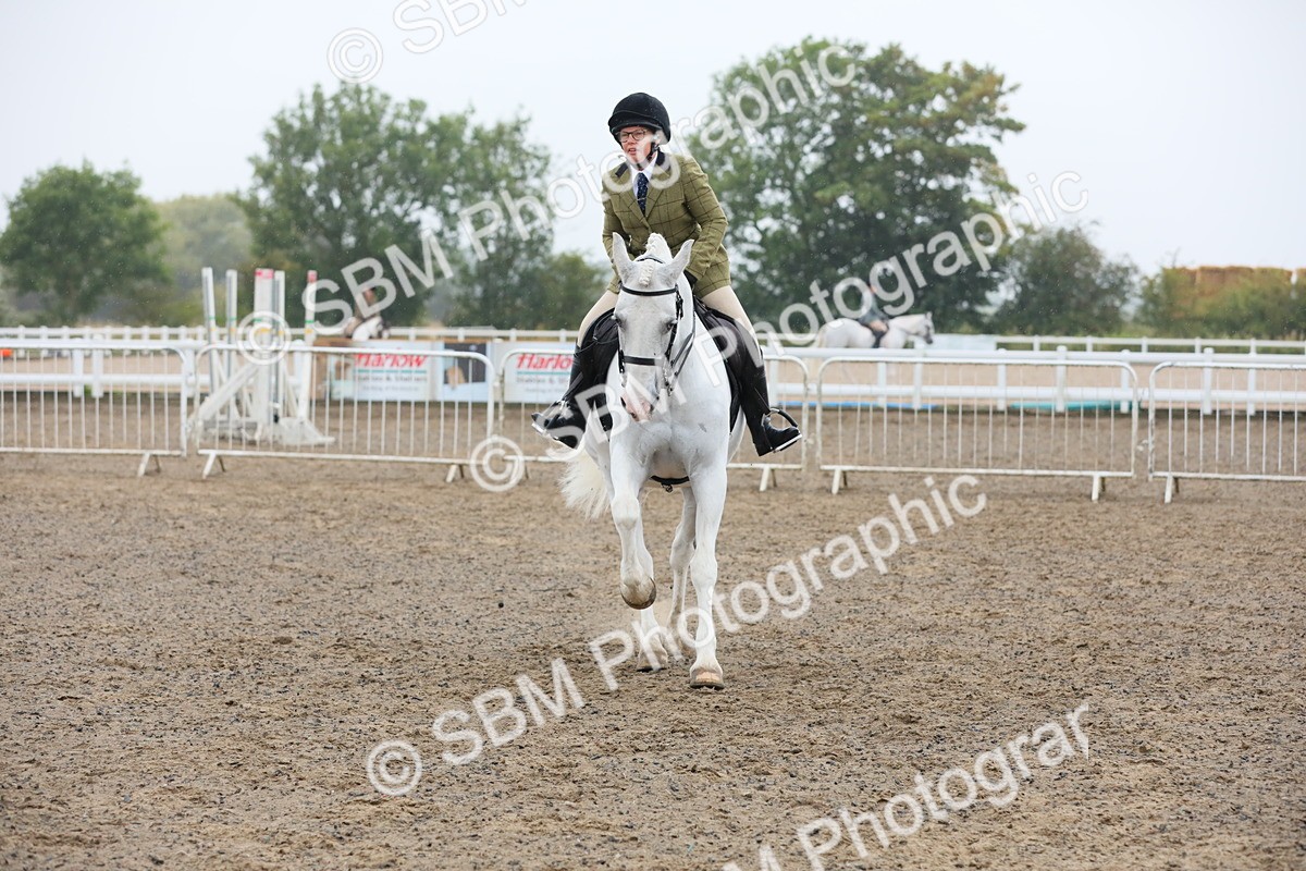 SBM_20331 - Class 803 - Ridden Combination 65+