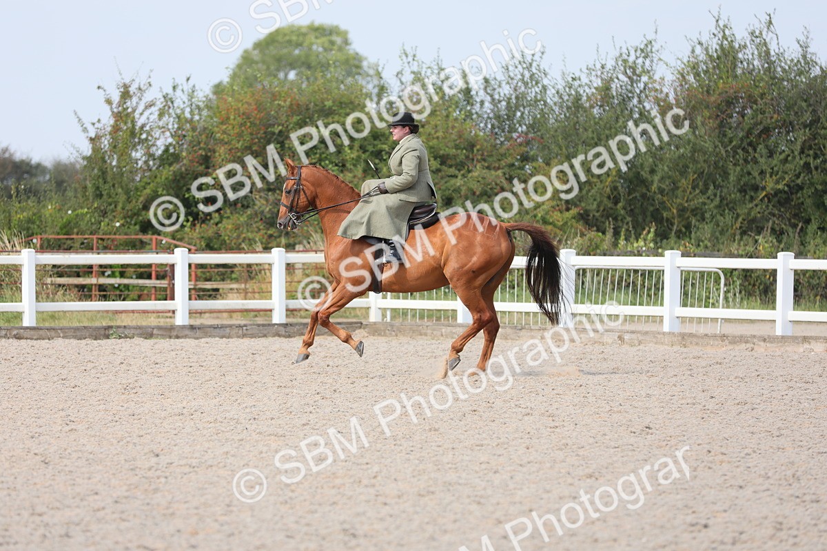 SBM_14568 - Class 211 Best Side Saddle Horse/Pony