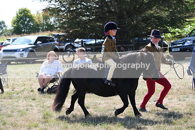 WJ6_7730 - Class 36 Lead Rein