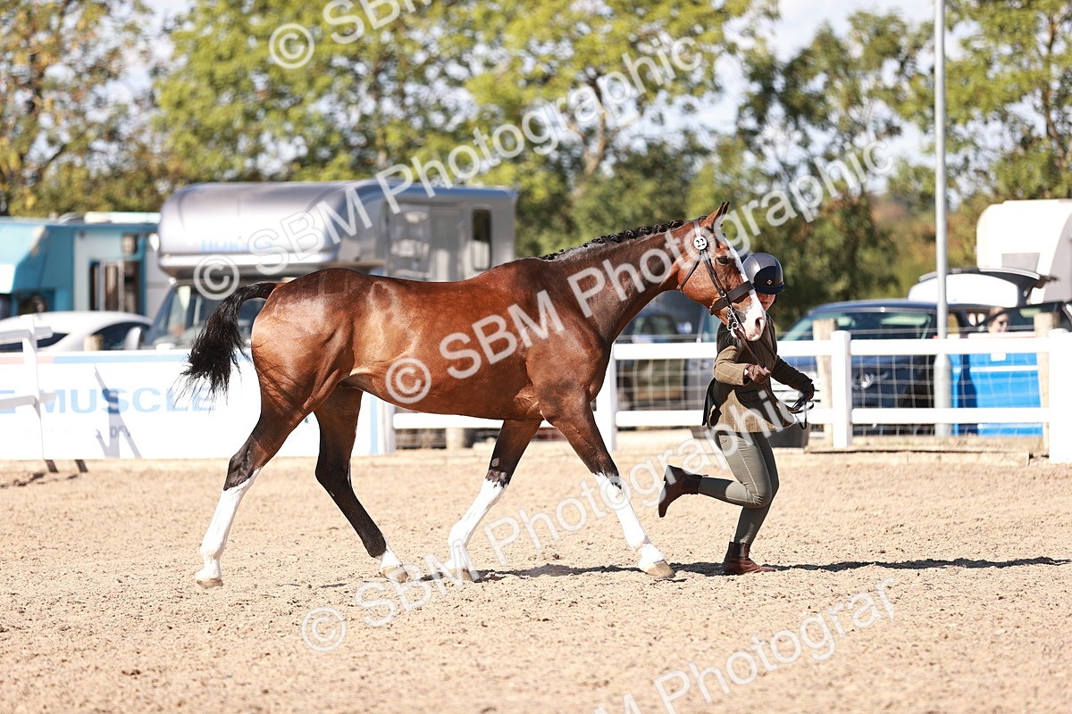 SBM_13309 - class 406 - IH Hunter