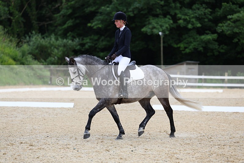 3E7A1724 - Class 2: Intro 2 2024 Section B