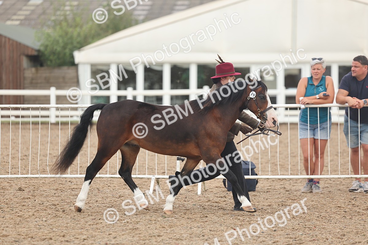 SBM_08422 - Class 29 - IH Veteran Pony
