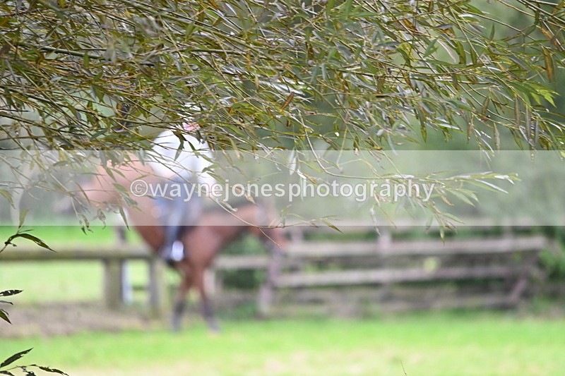 WJ6_7891 - Time at Photographer 13:49 to 14:15