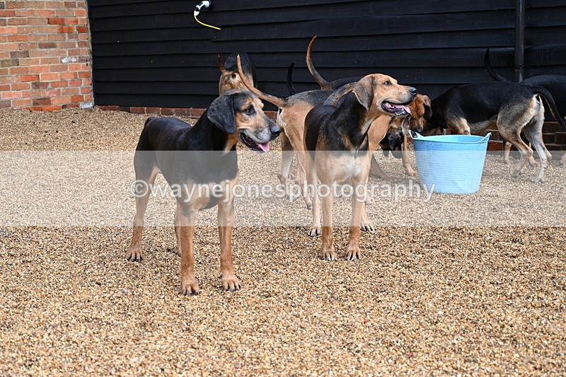 WJ7_6996 - Berks & Bucks at Blandy’s Farm 31-08-25