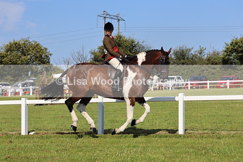 IMG_1647 - Skewbald and Piebald Ridden Championship