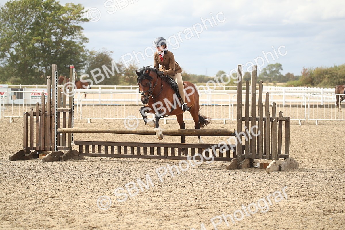 SBM_17869 - Class 508b - Working Veteran 70cm (20+)