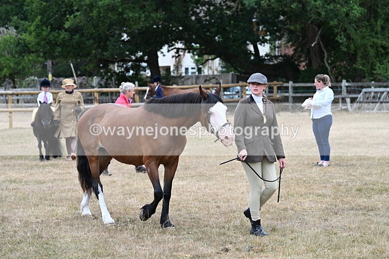 WJ7_8038 - Class 4 Prettiest Mare up to 14.2hh