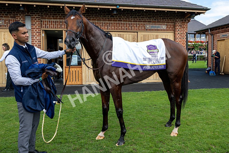 190826-Race 3-Maltese Cross-0427 - Race 3 15.00pm Sky Bet Great Voltigeur Stakes
