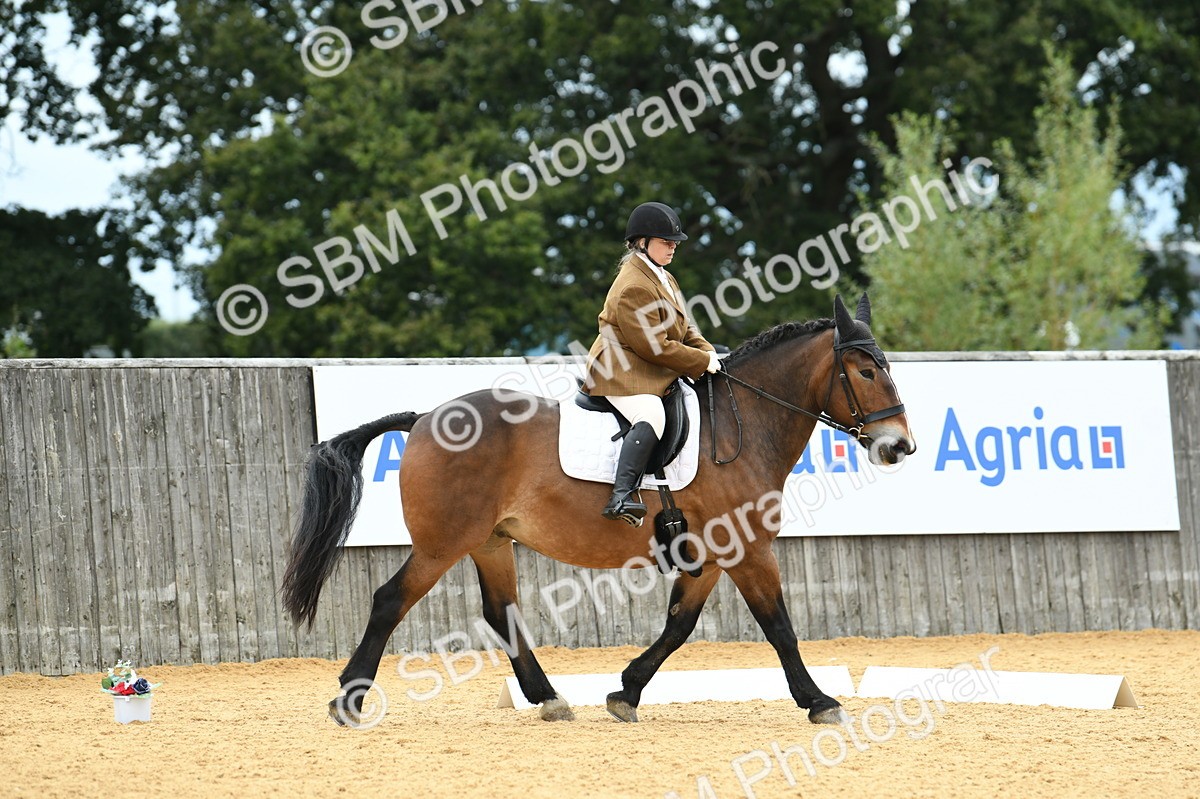 SBM_10046 - D15 Small Tour Championship Novice 24