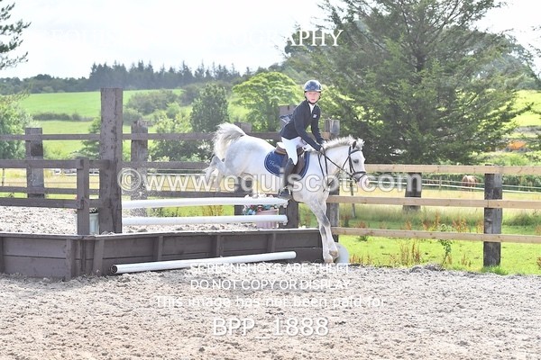 BPP_1888 - DERBY CLASS 5 - 60CM