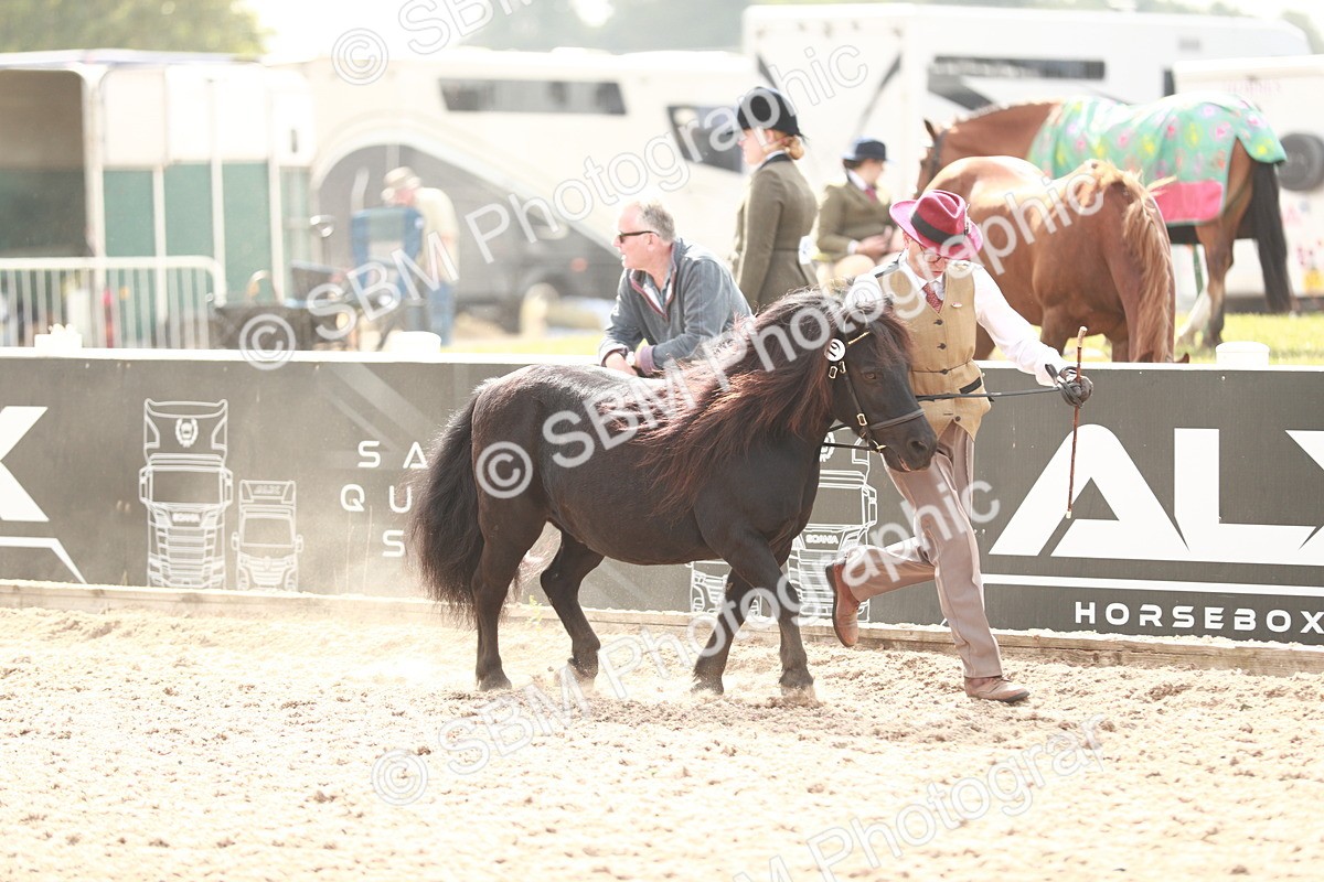 SBM_12422 - Class 207 IH M&M