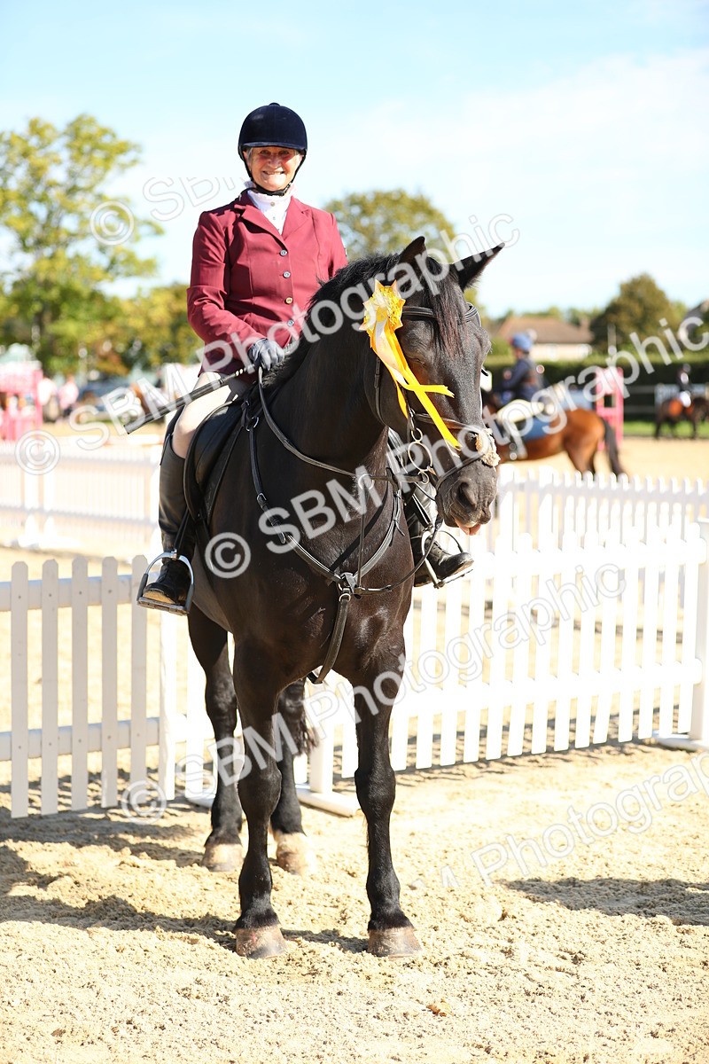 SBM_17819 - J33 - Senior 75cm Championship