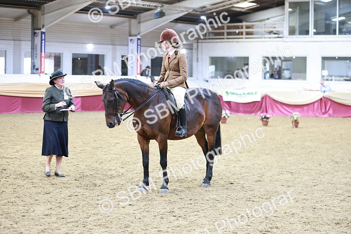 SBM_08221 - Class 11R - Regional Ridden Veteran