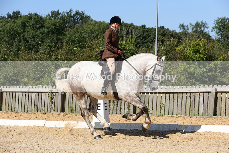 1X9A8002 - Class 11: Open Cob