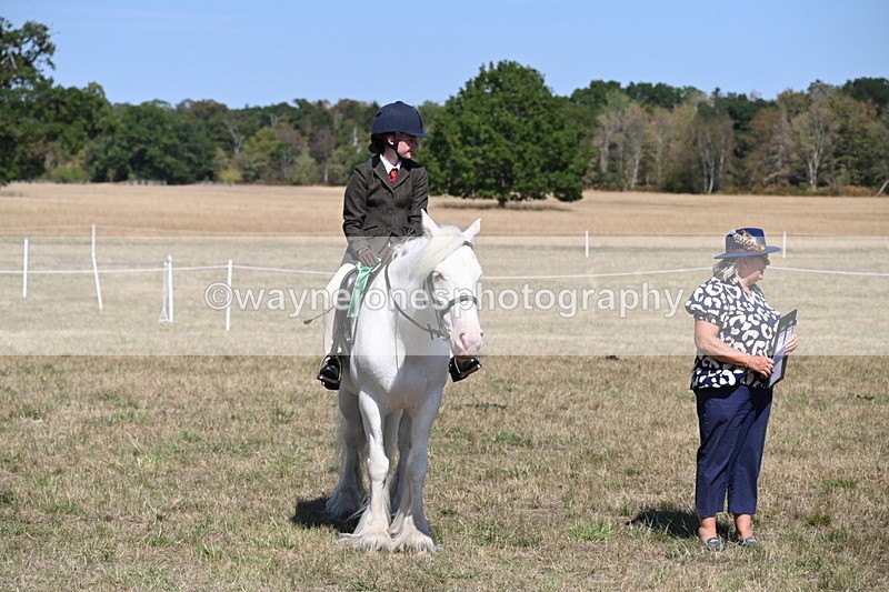 WJ6_9079 - Class 38 Ridden Riding Horse/Pony