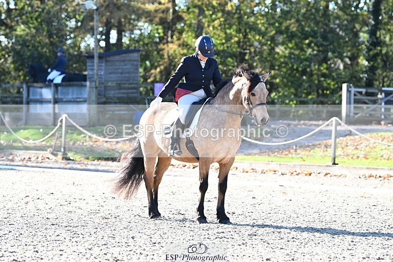 231110-113245-00454 - Cls 2 Prelim 17(a)Q