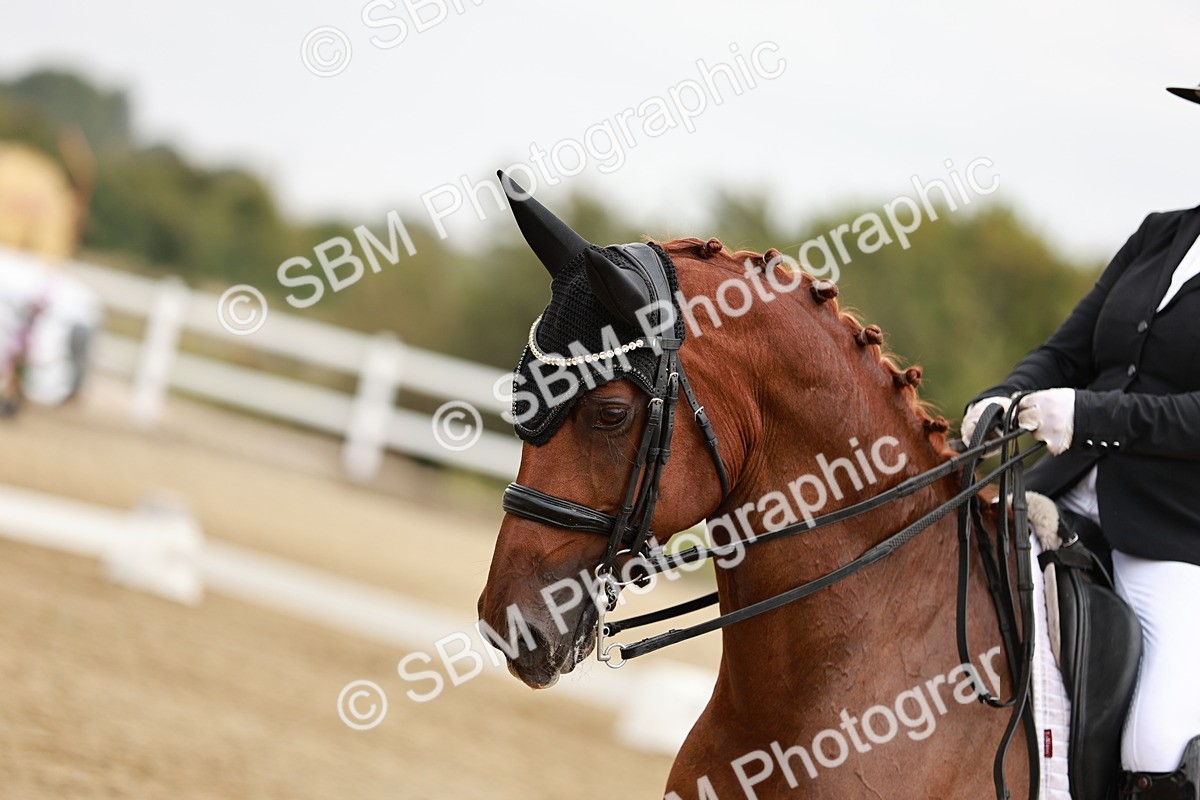 SBM_003578 - Class 7 - Advanced Medium 6 Gold - 13.16-14.36