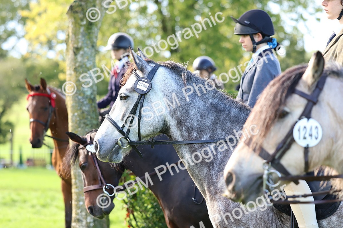 SBM_36912 - S11 - Best Ridden Horse & Pony