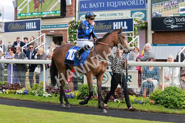 yr21052022r5-13 - Race 5: 4:07pm Phoebe Johnson Celebration EBF Restricted Novice Stakes