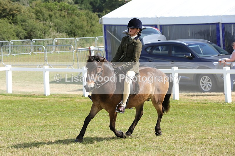 1X9A5609 - Class 39: NPS Dartmoor, Exmoor, Shetland