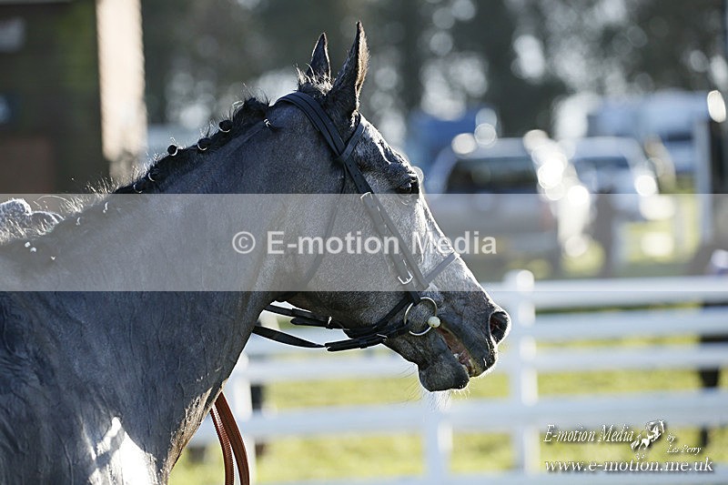 PtP 121220 384 - Avon Vale Races Larkhill 12/12/20