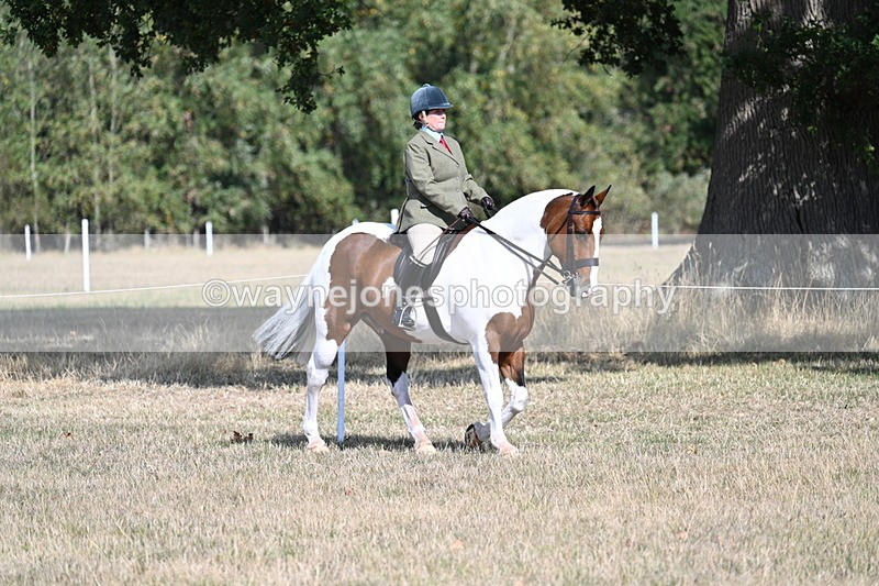 WJ7_2669 - Class 8 Ridden Tack & Turnout