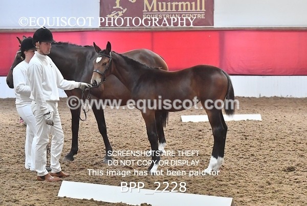 BPP_2228 - AFTERNOON 12.30 - 3.30PM