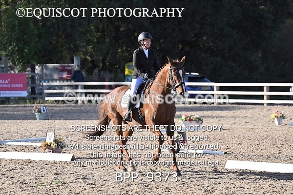 BPP_9373 - LONG ARENA