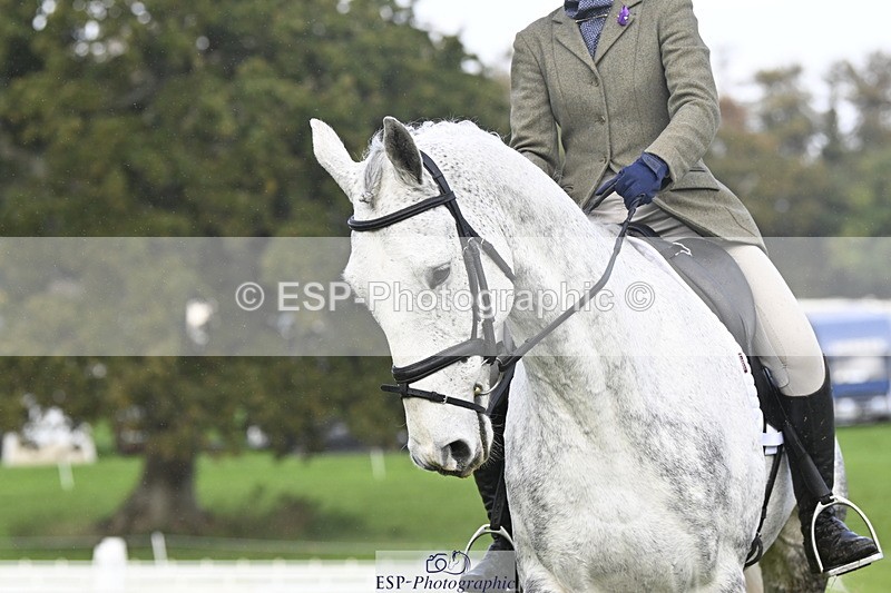 251023A-141255-04288 - D-329-Clementine.Montgomerie