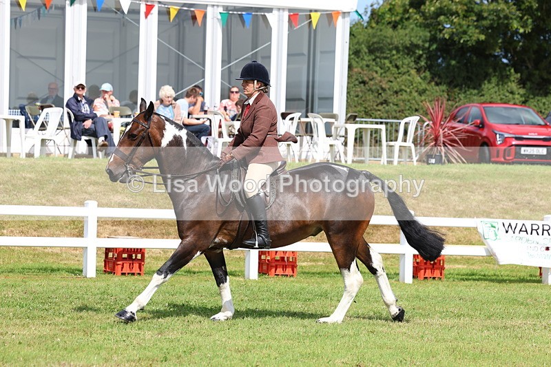 3E7A9757 - Class 5: Rising Star Lightweight/Heavyweight Cobs