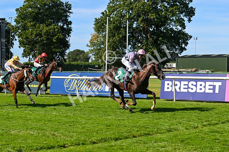 160924-Race 1-Susiesparkle-2519 - Race 1