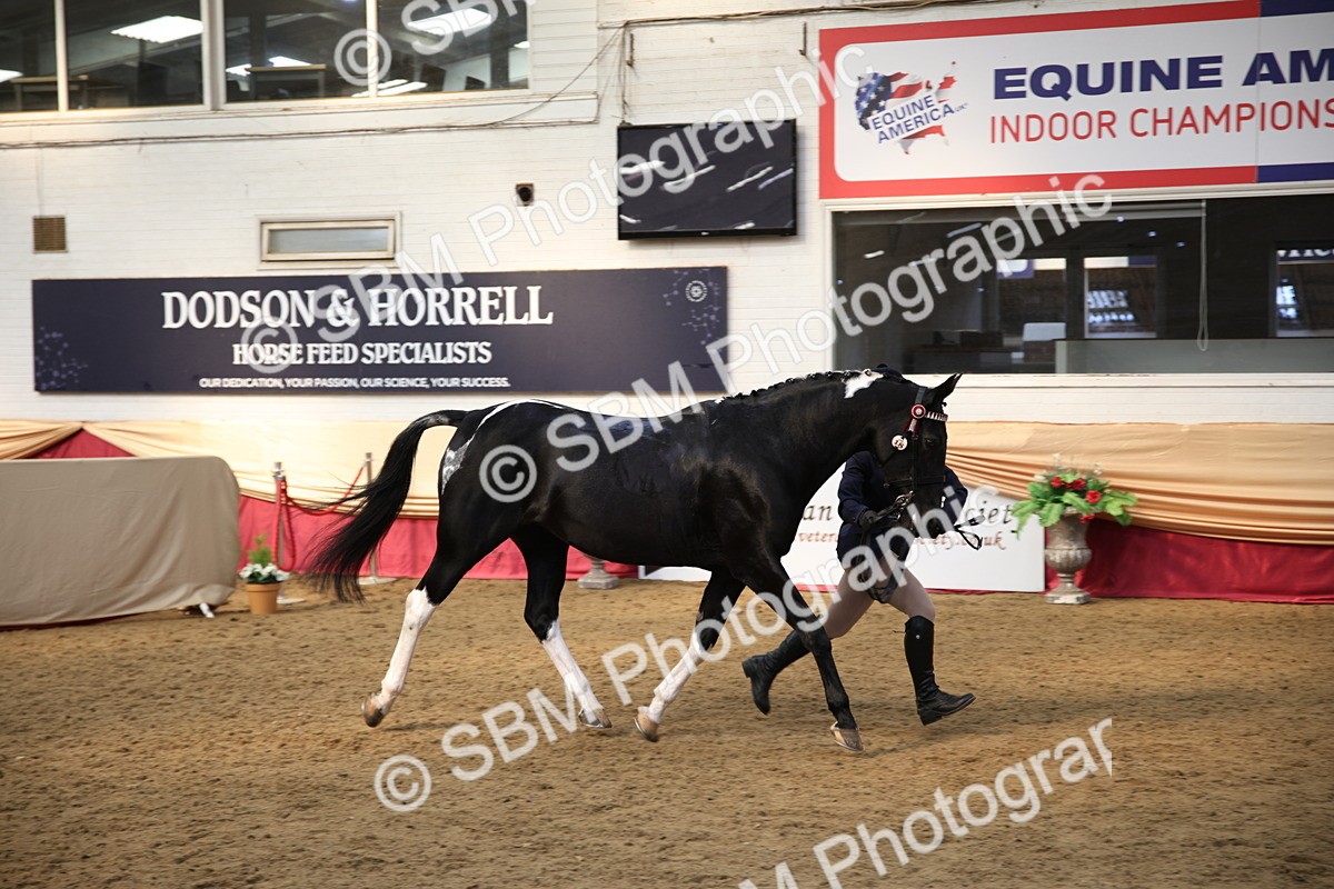 SBM_24771 - Class 906 - Supreme Final - Ridden Pre Vet