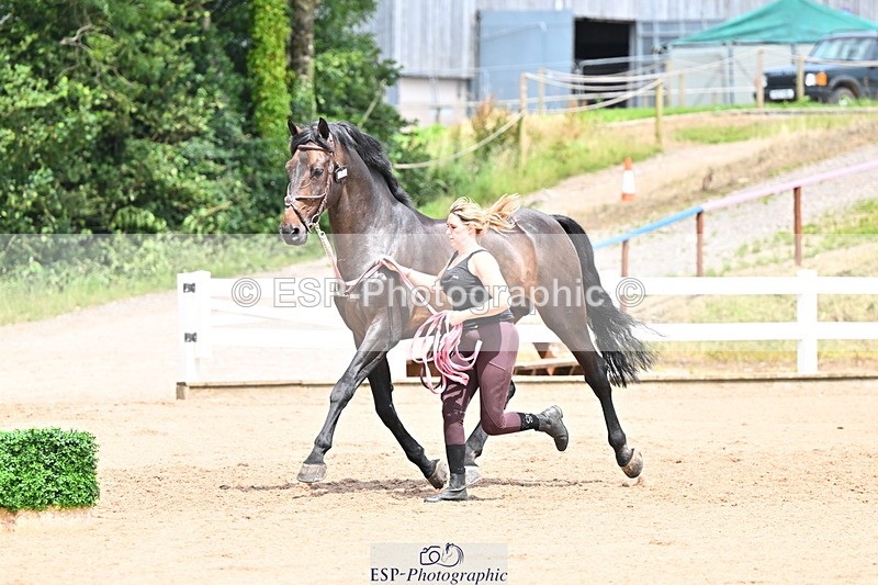 240718A-105322-01901 - Trot Up 1pm to 2pm