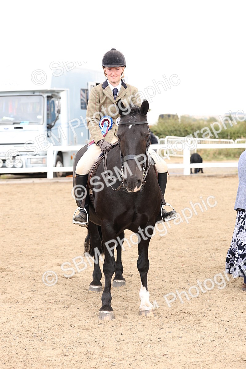 SBM_02947 - Class 53 - Ridden Competition Horse/Pony