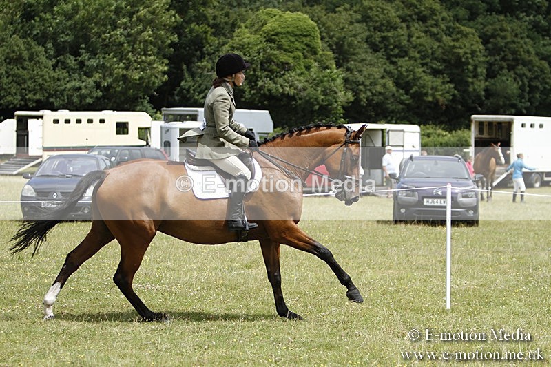 BVR160717-1813 - Ring 3 BVRC Show 16/07/17