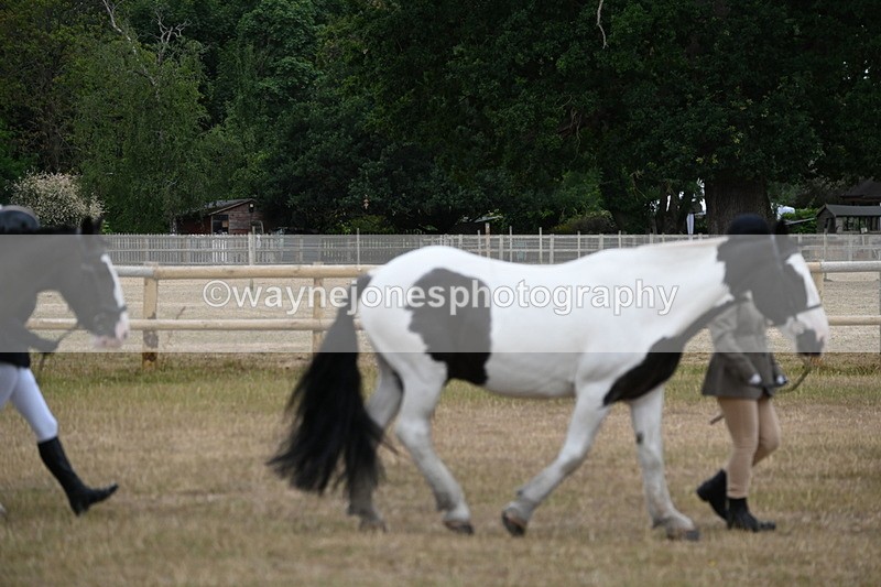 WJ6_7841 - Class 10 Coloured in Hand