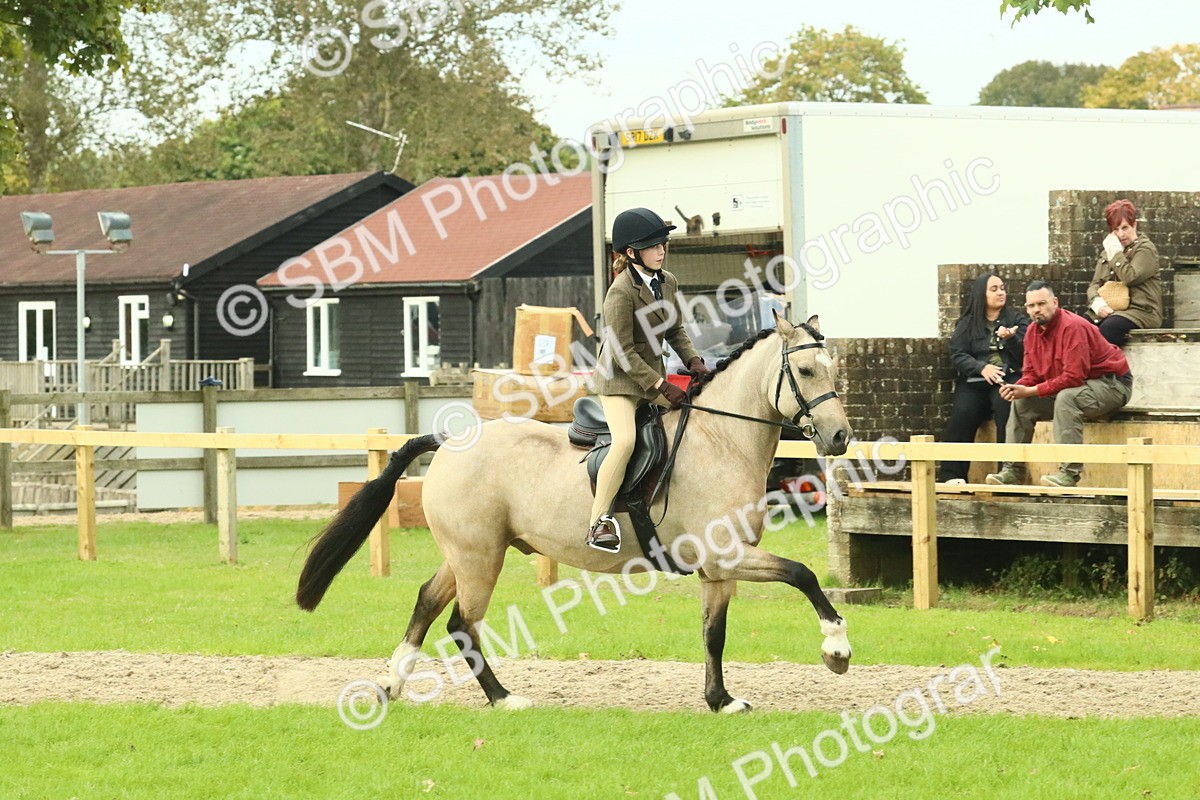 SBM_74021 - S 61 - Show Pony & Show Hunter Pony Ridden