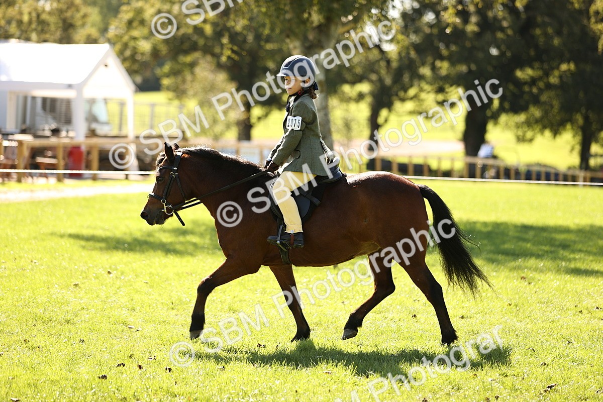 SBM_19264 - S3 - TSR Ridden Pony Showing