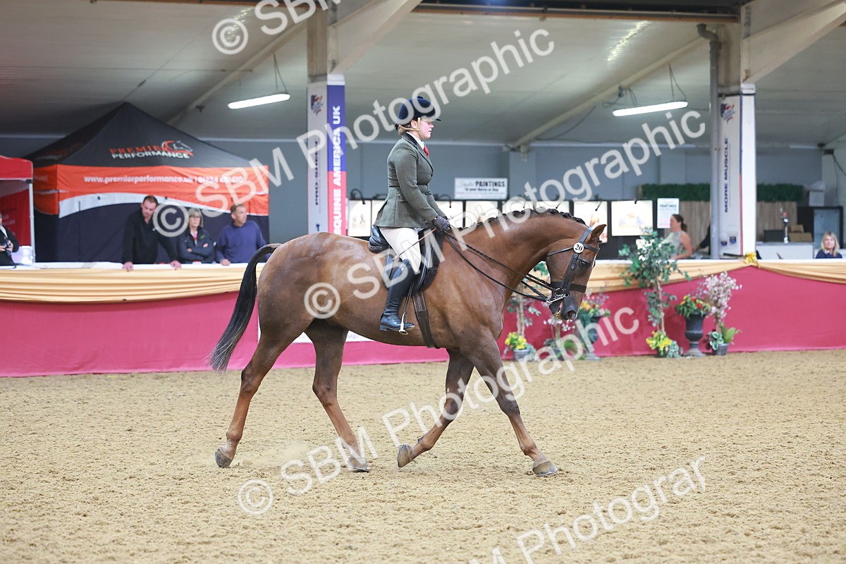 SBM_09671 - Class 102 - HOYS Veteran Qualifier - Ridden Veteran