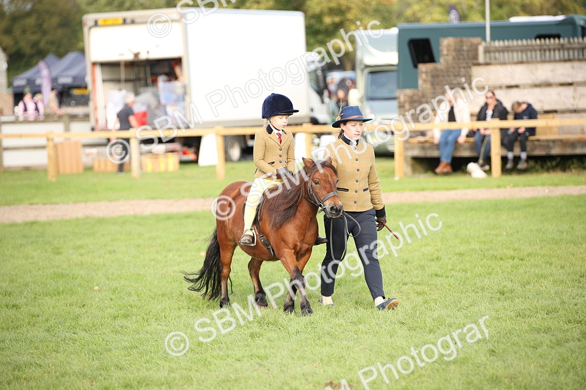 SBM_54274 - S27 - Mature Veteran - Ridden