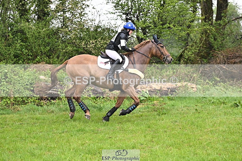 250418-131904-04124 - 205-Millie.Stoneman-V8.CHESTER