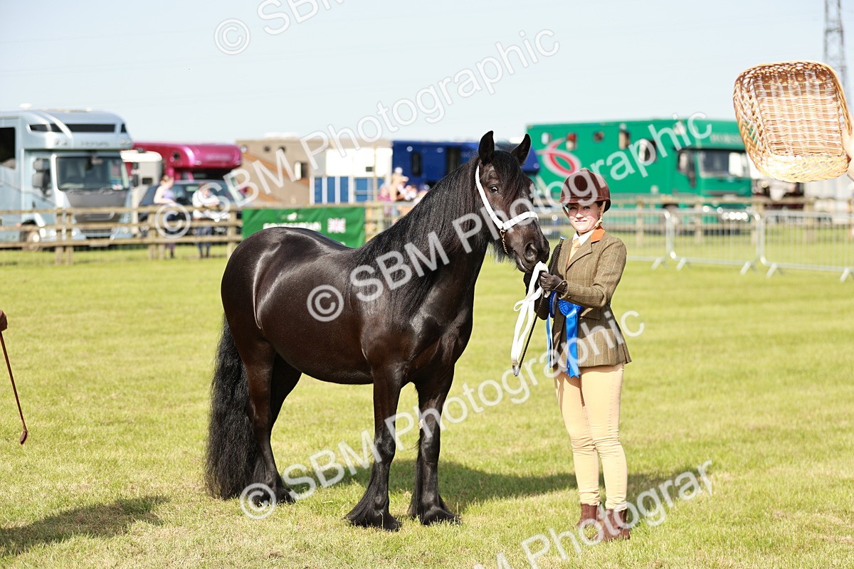 SBM_00916 - Class 14-23 - Mountain & Moorland In Hand Non Welsh