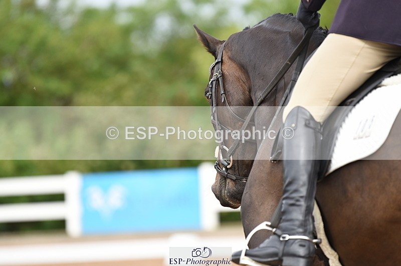 230912A-120014-00657 - Cls 8 Elementary 59