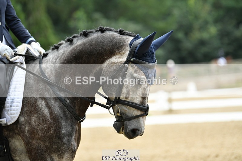 250718A-113648-01172 - 108-Esme.Freeman-Pulsar