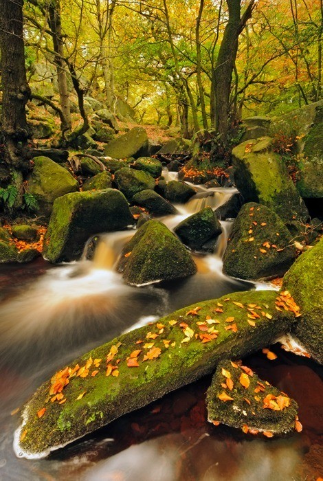 Padley Gorge | Burbage Brook Autumn Stream, Peak District