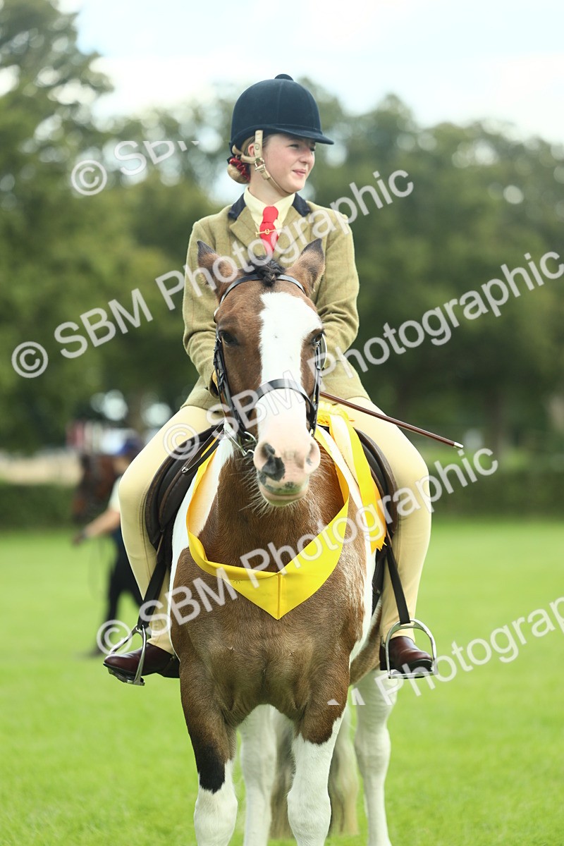 SBM_42185 - S29 - Novice & Newcomers Working Hunter Pony